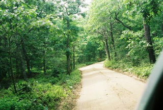 A typical dirt road here